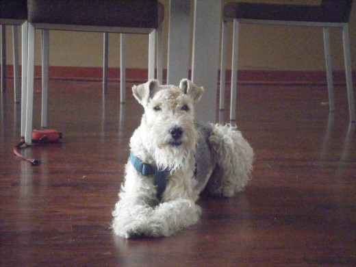 a que hora salimos a pasear??? a que hora salimos a pasear???